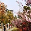 浙江科技大学校园照片_22108