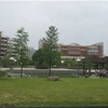 浙江科技大学校园照片_22180
