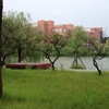 浙江科技大学校园照片_22176