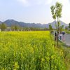 浙江科技大学校园照片_51679