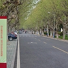 安徽工业大学校园照片_22543