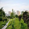 安徽医科大学校园照片_22808