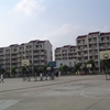 同济大学校园照片_14169