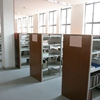同济大学校园照片_14311