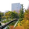 华东理工大学校园照片_14478