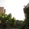华东理工大学校园照片_14578