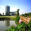 华东师范大学校园照片_15614
