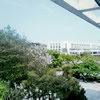 宁夏师范大学校园照片_26674