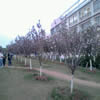 宁夏师范大学校园照片_26668