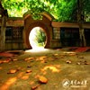 井冈山大学校园照片_26771
