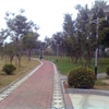 山东第一医科大学校园照片_28207