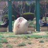 山东第一医科大学校园照片_28188