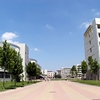 聊城大学校园照片_28696