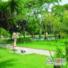 青岛大学校园照片_52089