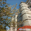 青岛大学校园照片_52088