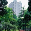 东南大学校园照片_17412