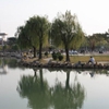 南阳师范学院校园照片_30664