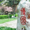 南阳师范学院校园照片_30656