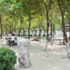 南阳师范学院校园照片_30655