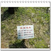 南京理工大学校园照片_17620