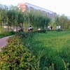 新乡学院校园照片_52570