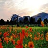 中国矿业大学校园照片_17793