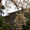 河海大学校园照片_18395