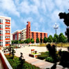 长江大学校园照片_31164