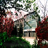 长江大学校园照片_31158