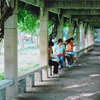 湖北大学校园照片_31907