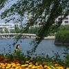 黄冈师范学院校园照片_31997