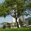 吉首大学校园照片_32638