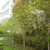 吉首大学校园照片_32633