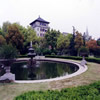 浙江大学校园照片_20235