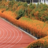 韩山师范学院校园照片_34944
