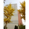 北京理工大学校园照片_839