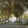 合肥工业大学校园照片_22464