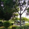 广东财经大学校园照片_35640