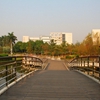 广州大学校园照片_52943