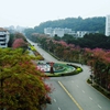 五邑大学校园照片_55927