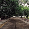 佛山大学校园照片_65083