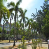 厦门大学校园照片_24031