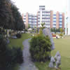 广西科技大学校园照片_35747