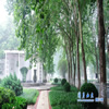 山东大学校园照片_27007