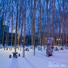 山东大学校园照片_27000