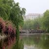 中国海洋大学校园照片_27170