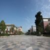 重庆医科大学校园照片_38005