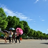 西华师范大学校园照片_38536