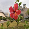 攀枝花学院校园照片_56101