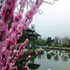 西安科技大学校园照片_42396